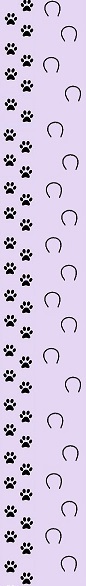 dogpawprints